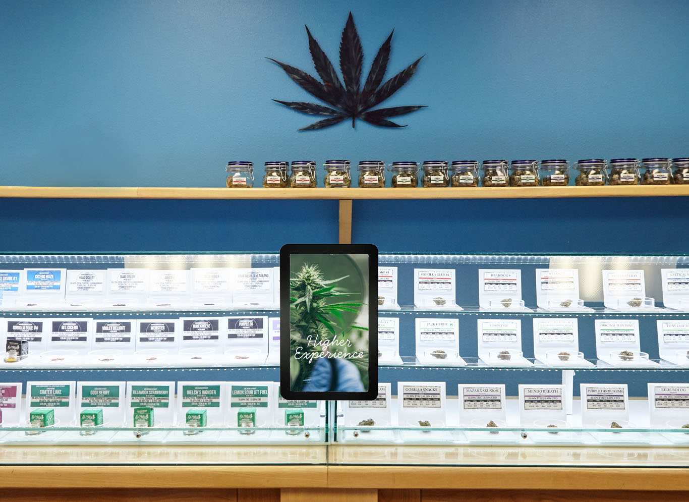 a cannabis retail experience